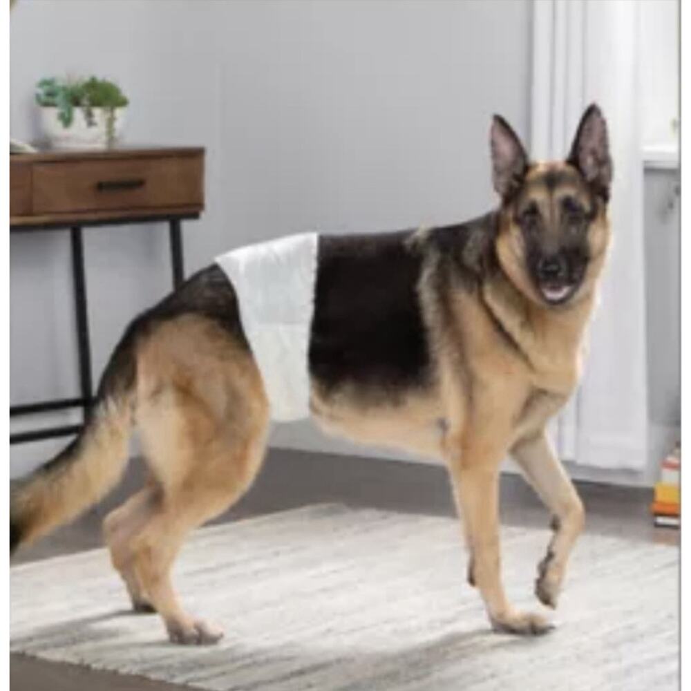 Paw Legend XL Male Dog Diaper, Pregnancy Blocker, Avoid Travel Squirts & Marking